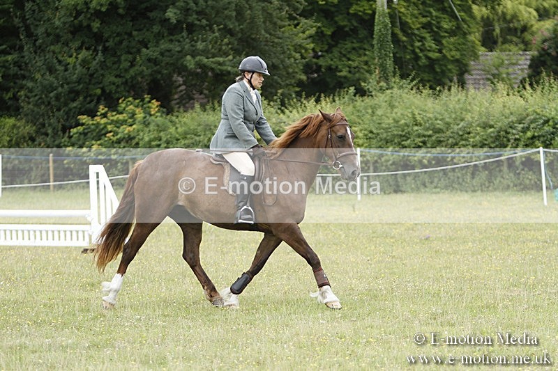 BVR160717-931 - Ring 3 BVRC Show 16/07/17