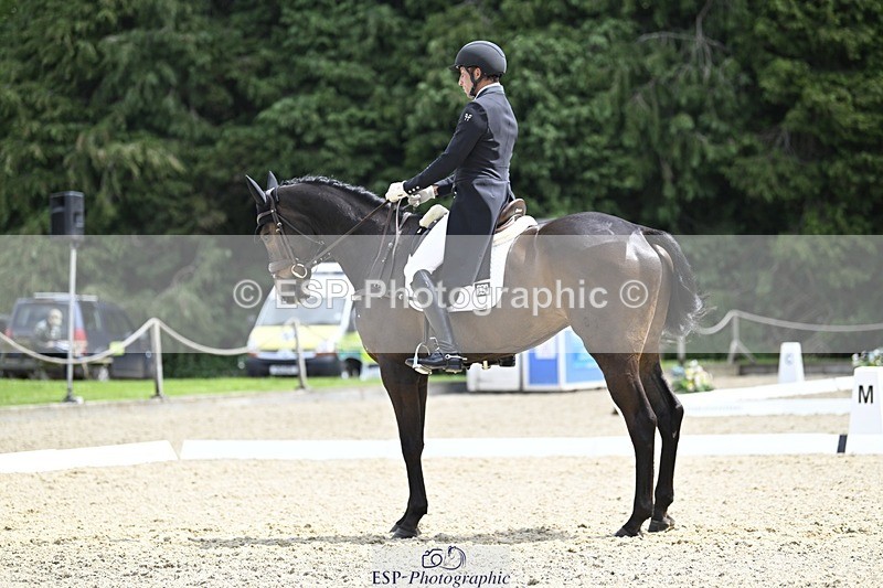 000101-190356-03837 - 426-VISCOUNT_VIKTOR-Tim_Price