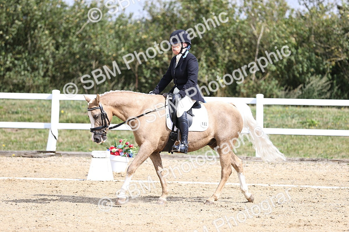 SBM_016197 - Class 14 - Novice 23 - 10.29-11.32