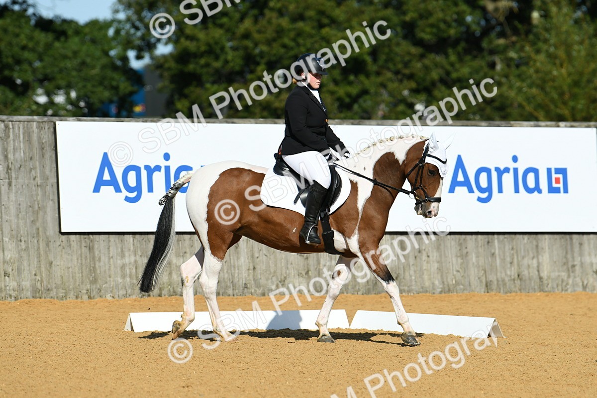 SBM_17923 - D4 - Small Tour Championship - Intro B