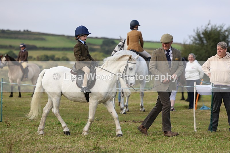 3E7A3481 - Class 2: Lead rein