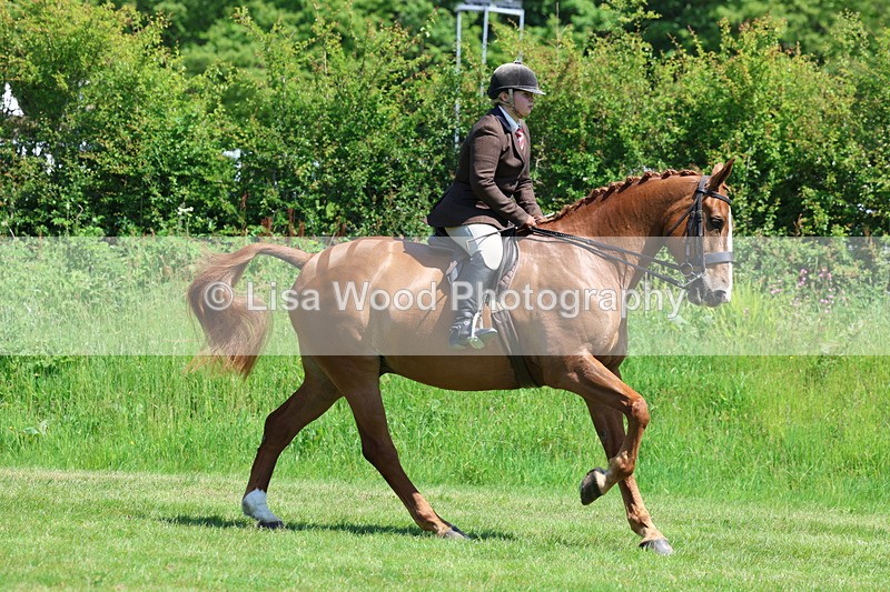 3E7A8264 - Class 13: Ridden Hunter