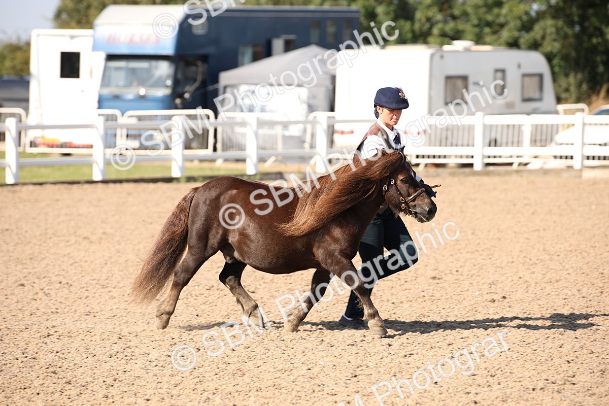 SBM_02680 - Class 16 IH M&M Wildcard