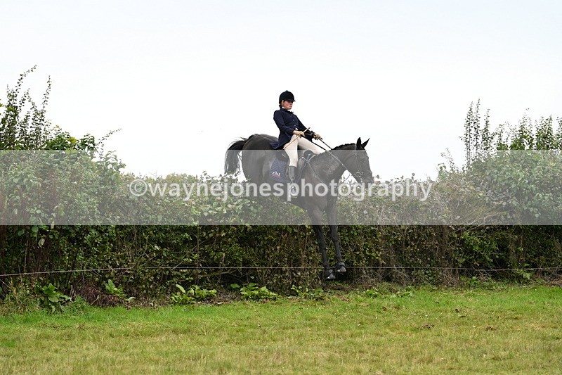 WJ7_4223 - Camera 1 Line 2