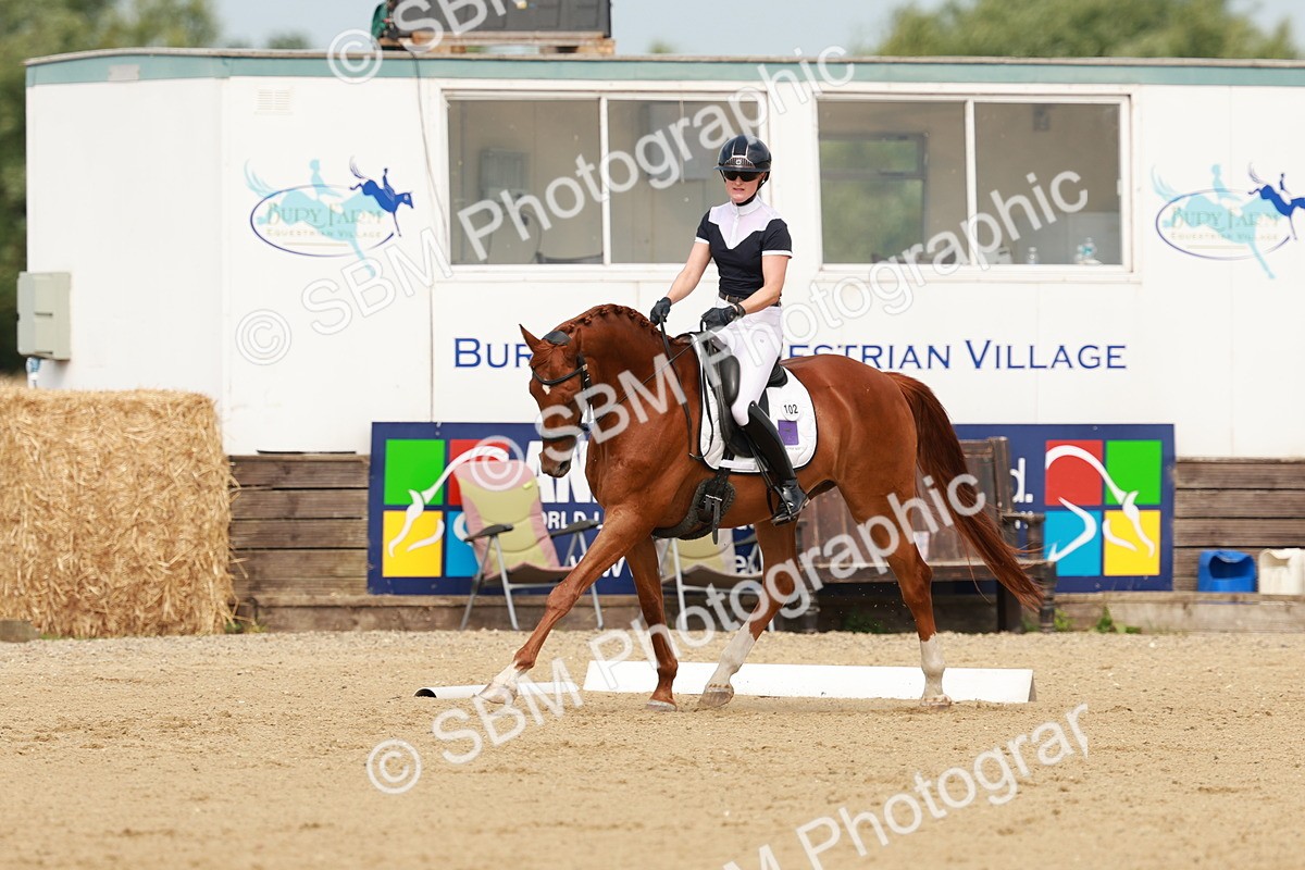 SBM_021604 - Class 13 - N5