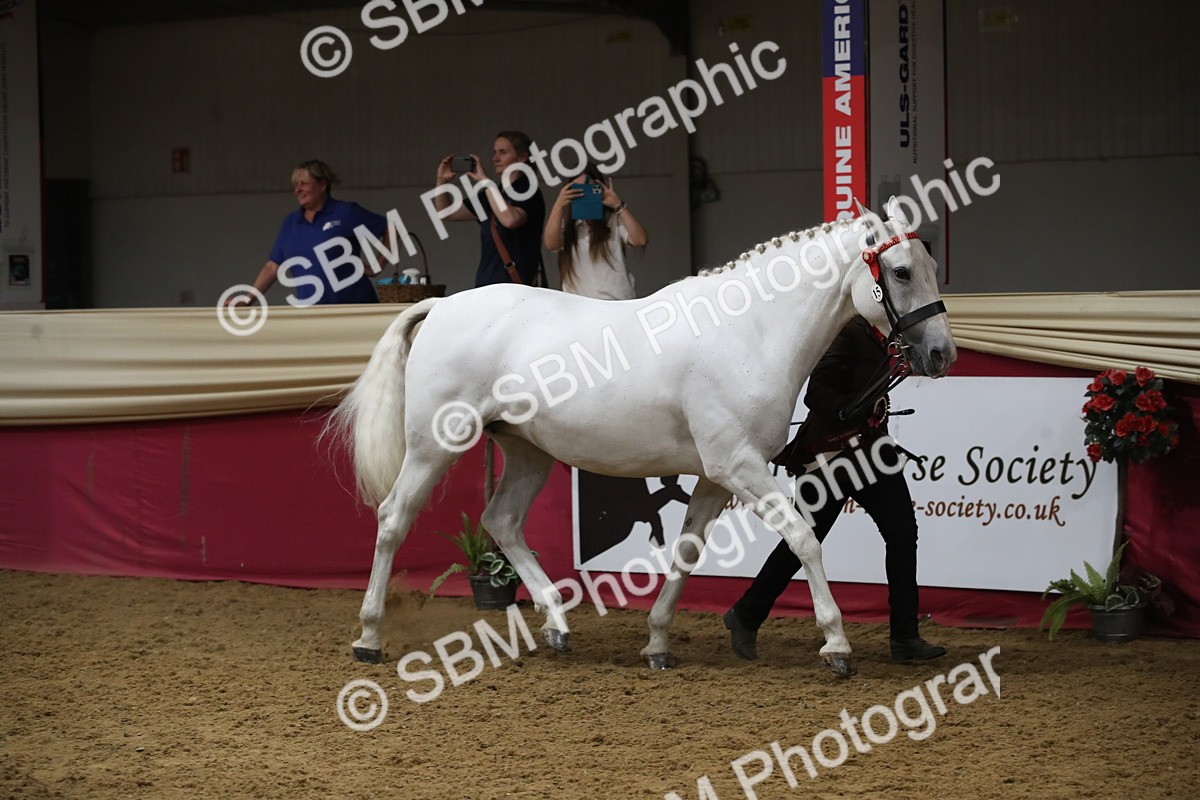 SBM_05841 - Class 9R - Regional IH Pre-Vet