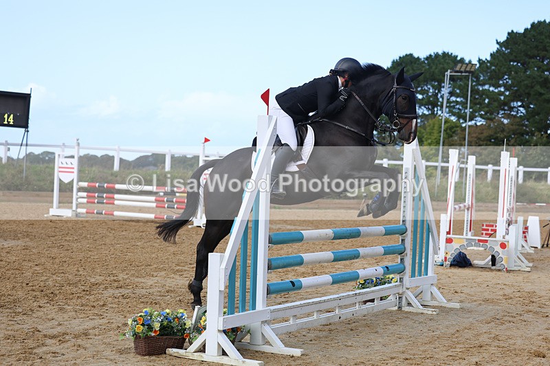 3E7A9215 - Class 9: Senior British Novice/90cm open