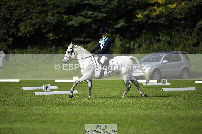 230826-093521-15156 - Sections C & D 9 to 10am