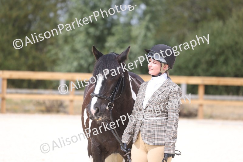 20260802-1519 - Class 16 - Best Horse or Pony
