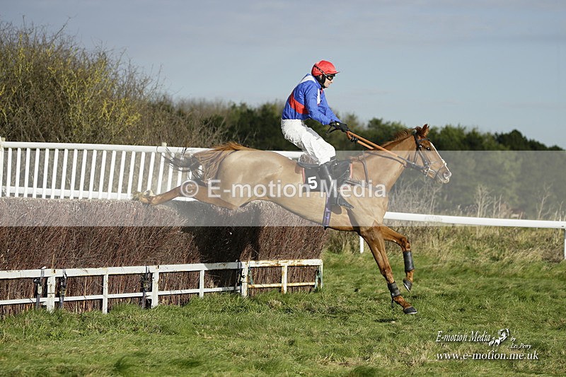 PtP 281121 0146 - Hursley Hambledon Point-to-Point Larkhill 28/11/21