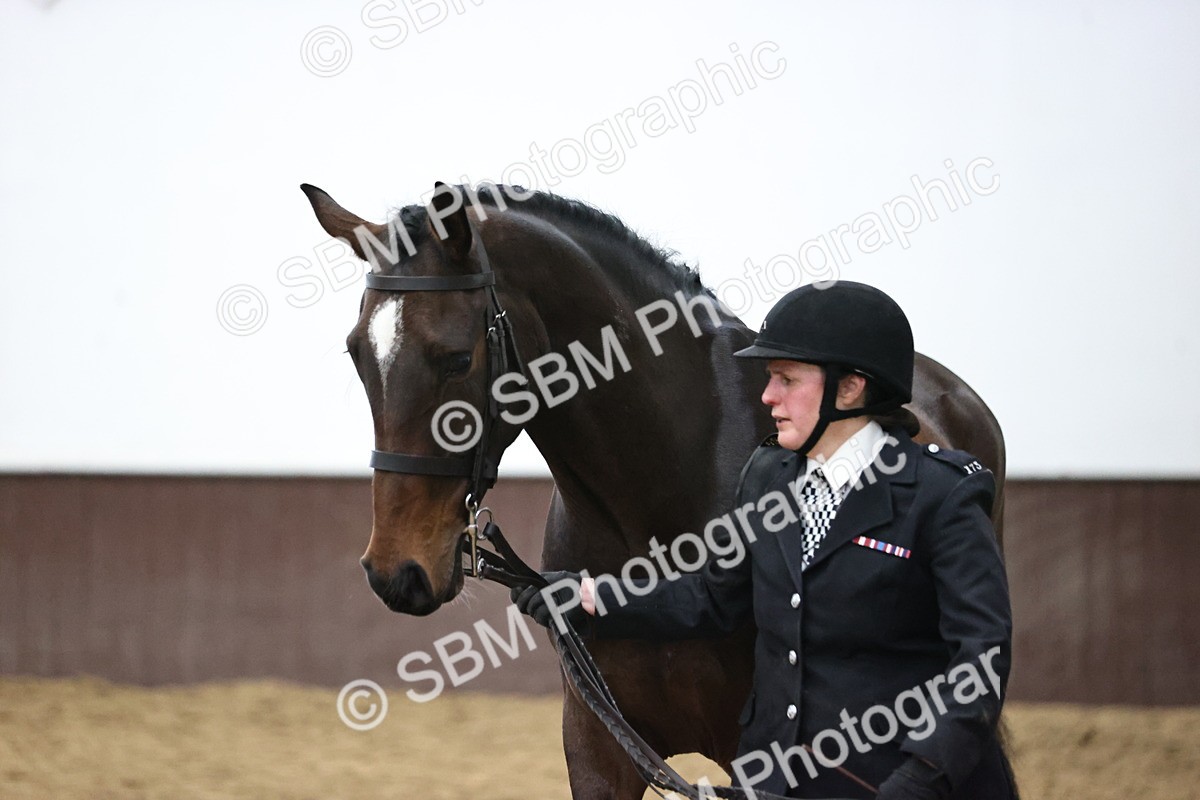 SBM_5758 - Class 3 - BSHA In Hand Show Hunter