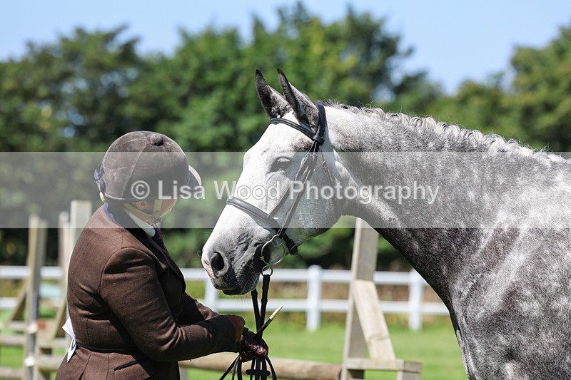 3E7A9053 - Class 6: Open Working Horse