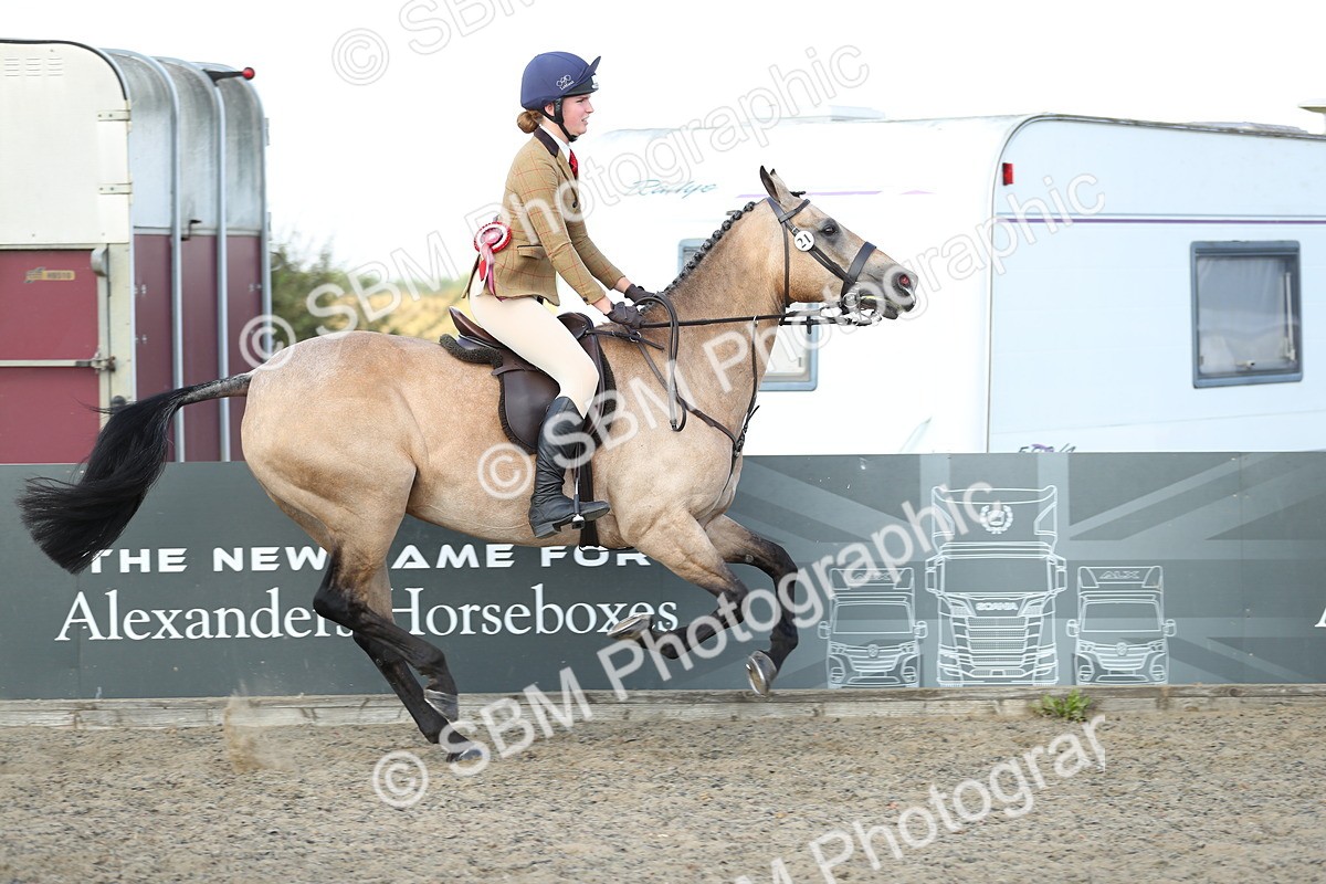 SBM_07025 - Class 49b Style & Performance 80cm (20+)