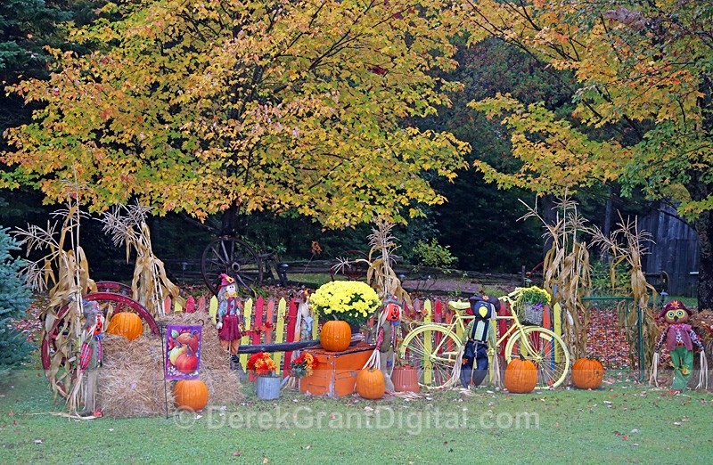 Pumpkin Parade - Autumn Festival