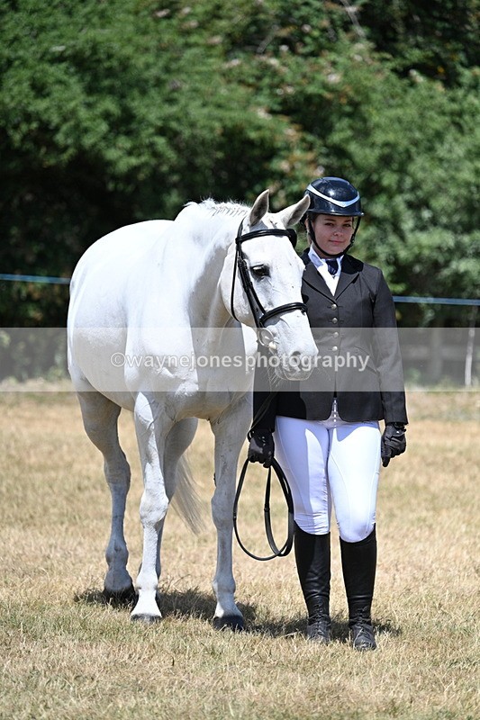 WJ7_2393 - Class 5a Most Handsome Gelding in hand (above 14.2hh)