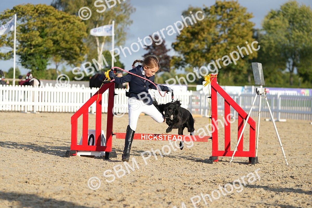 SBM_29385 - J44 - Horse & Hound Open 70cm