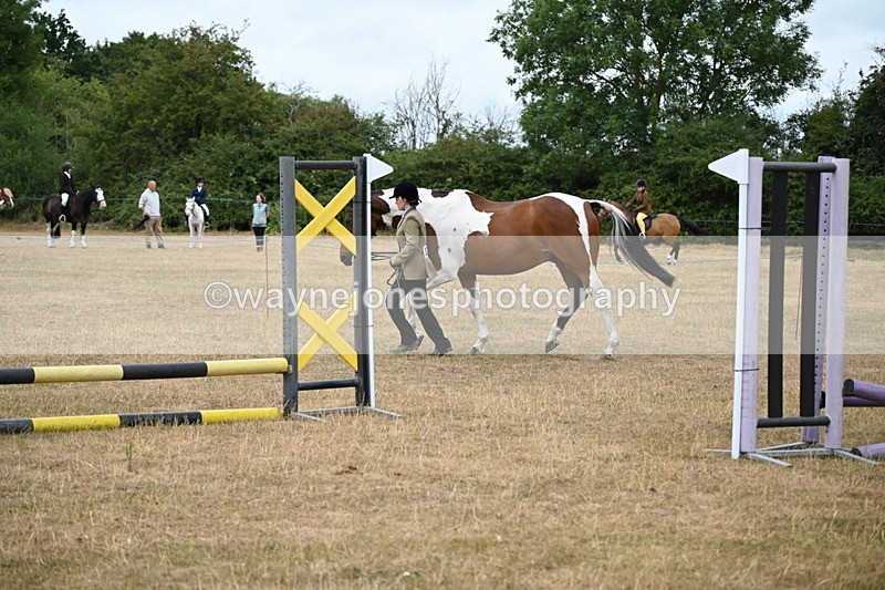 WJ6_8168 - Class 10 Coloured in Hand