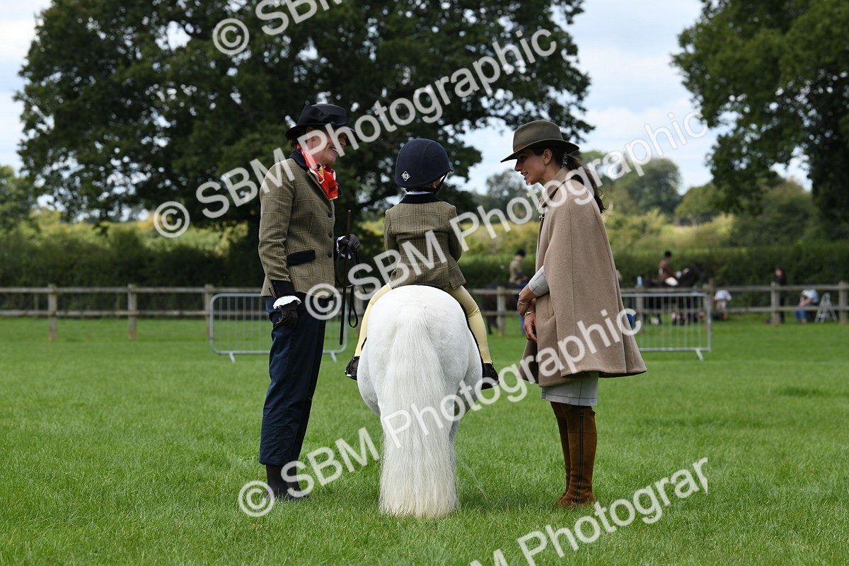 SBM_42558 - S20 - Lead Rein Mountain & Moorland Pony