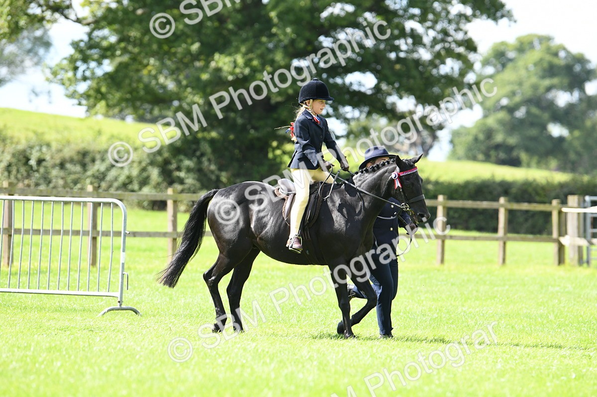SBM_41147 - S19 - Lead Rein Show & Show Hunter Pony