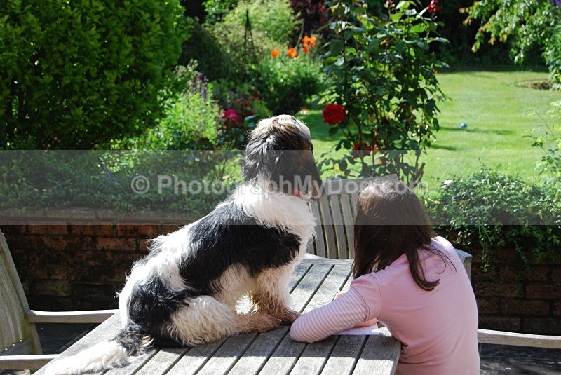  - Man's Best Friend