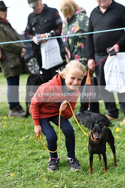WJ5_0574 - Class 7 Best Terrier