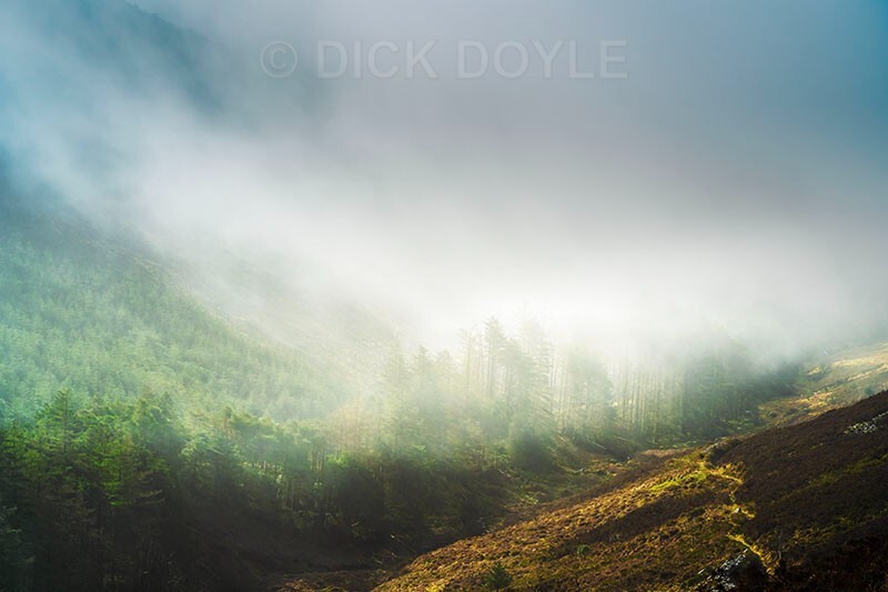 drifting mist in the Knockmealdown mountains - Mood and mist with some lumen added