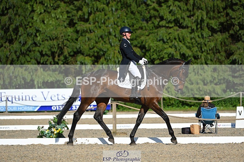 230526-171927-07571 - 262-TREAMBLE-Finn_Healy-WEDTrotUp+DR