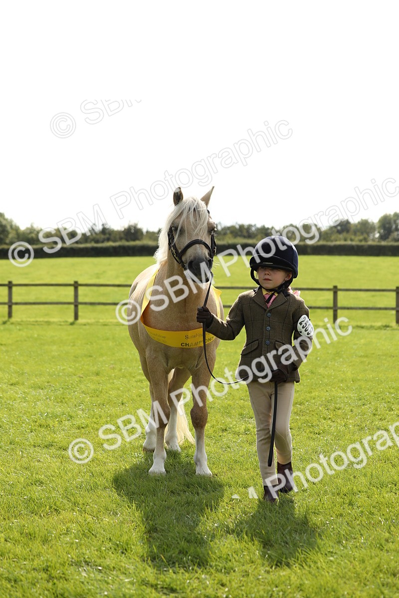 SBM_66326 - In Hand Pony & Youngstock Supreme Championship