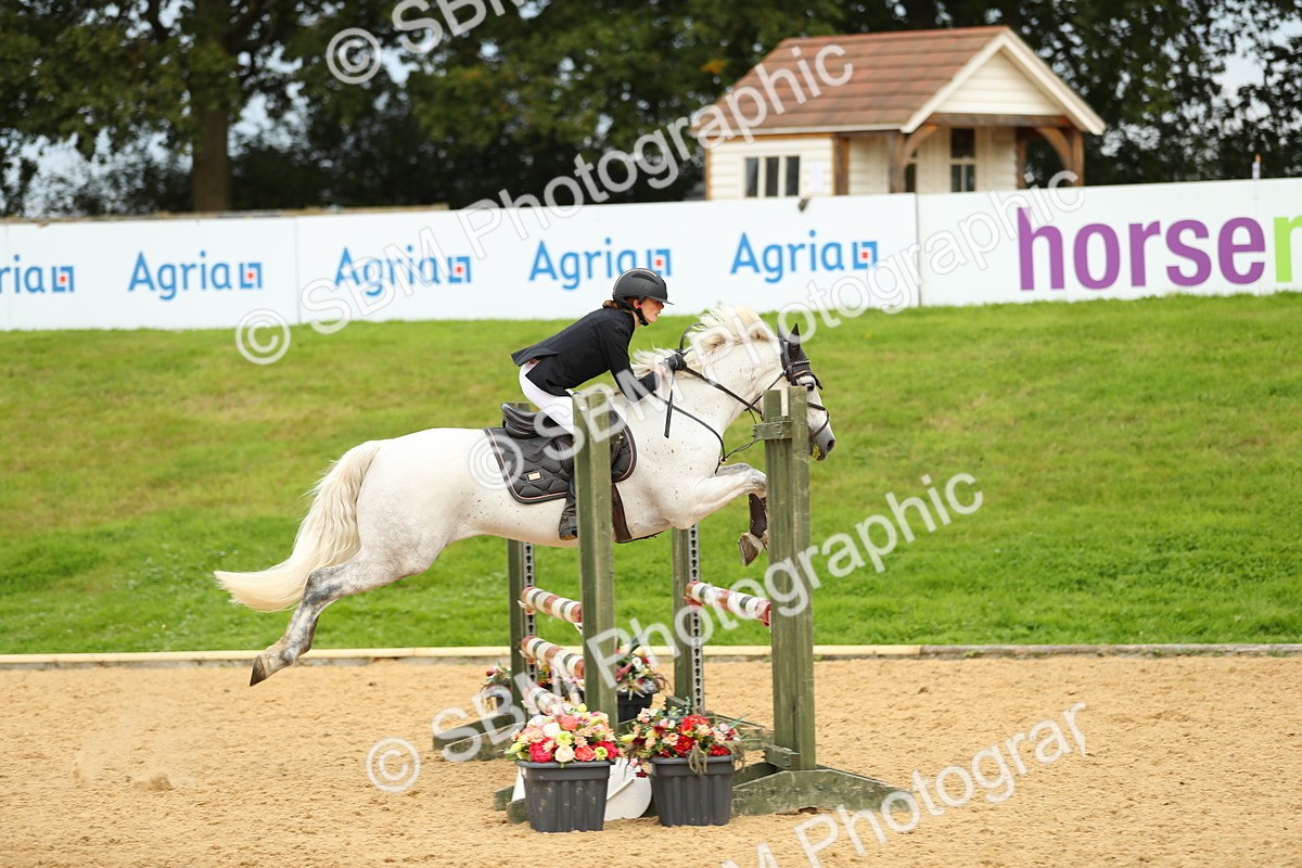 SBM_76016 - J19 - Junior 90cm Supreme Championship