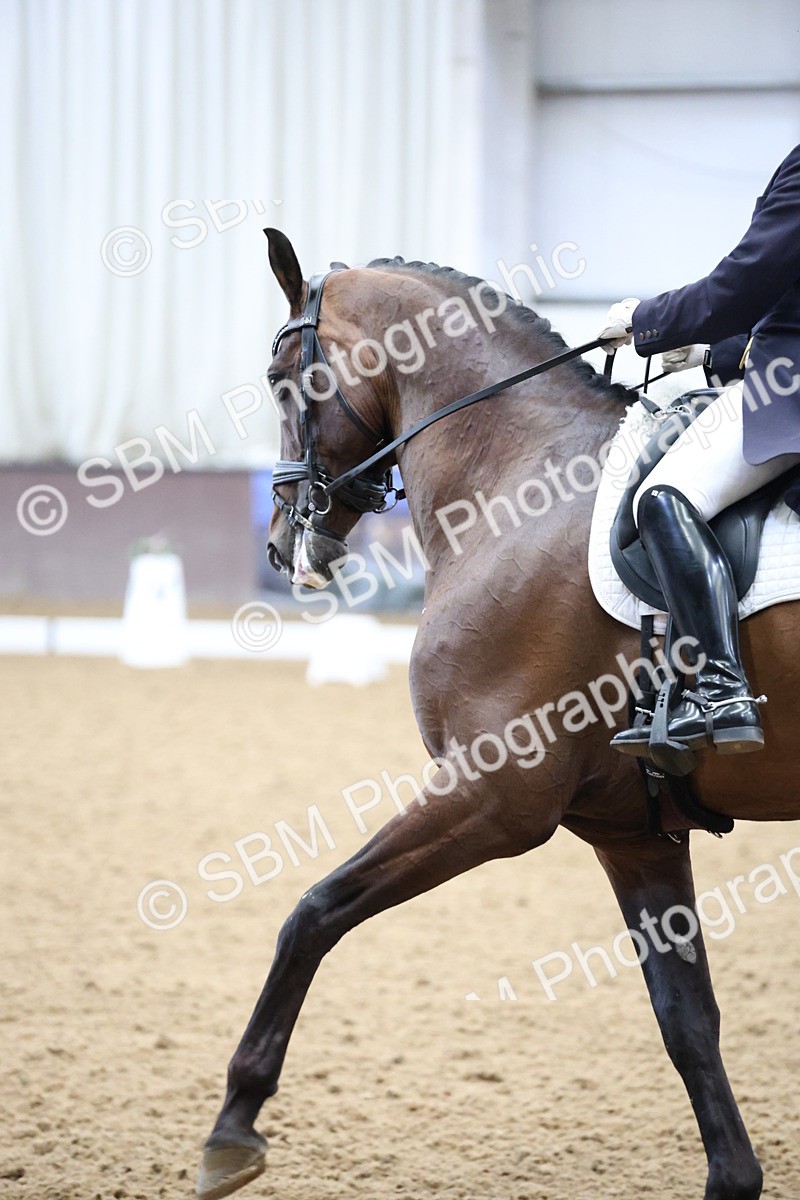 SBM_004518 - Class 9 - FEI Inter 1 Gold - 15.55-16.43
