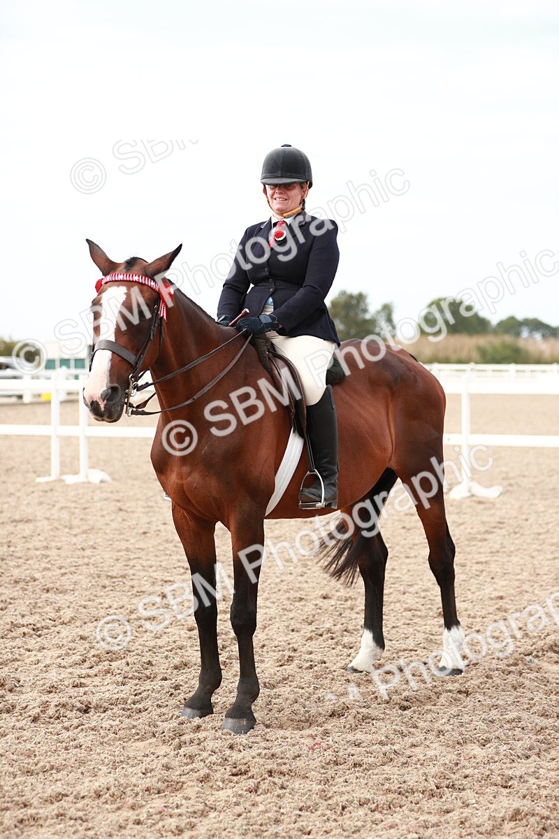 SBM_17576 - Class 215 Ridden Hack/ Riding Horse