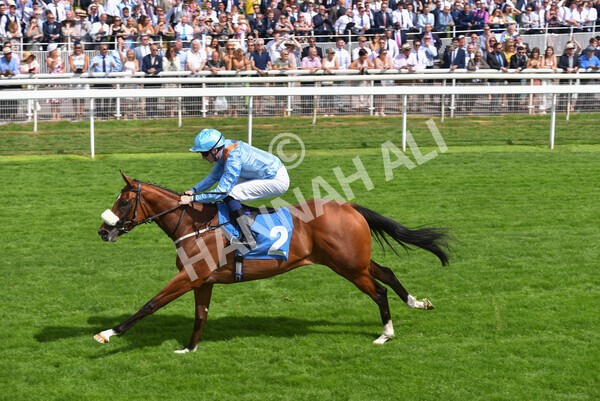 yr08072022r3-26 - Race 3 3.15pm William Hill Play Responsibly Irish EBF Novice Fillies Stakes