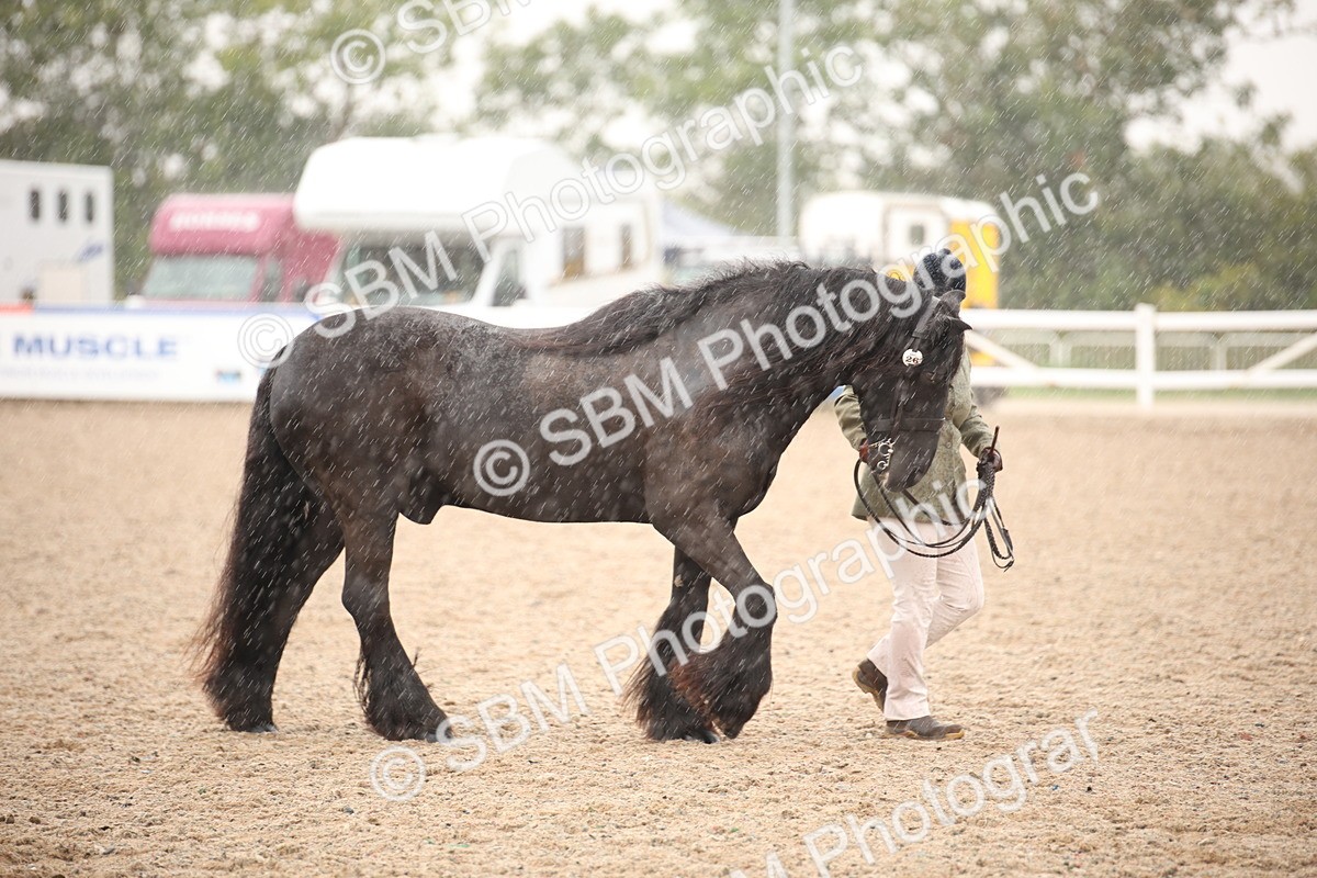 SBM_20662 - Class 705 - IH  Combination 65+