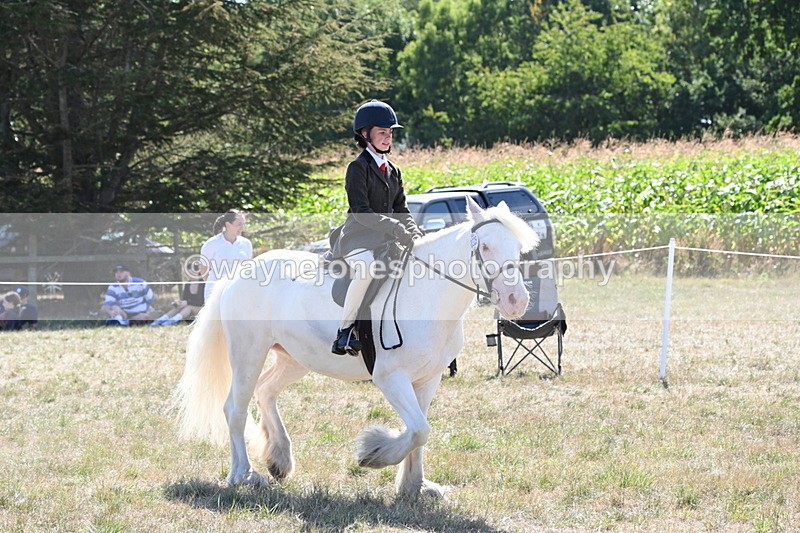 WJ6_8982 - Class 38 Ridden Riding Horse/Pony