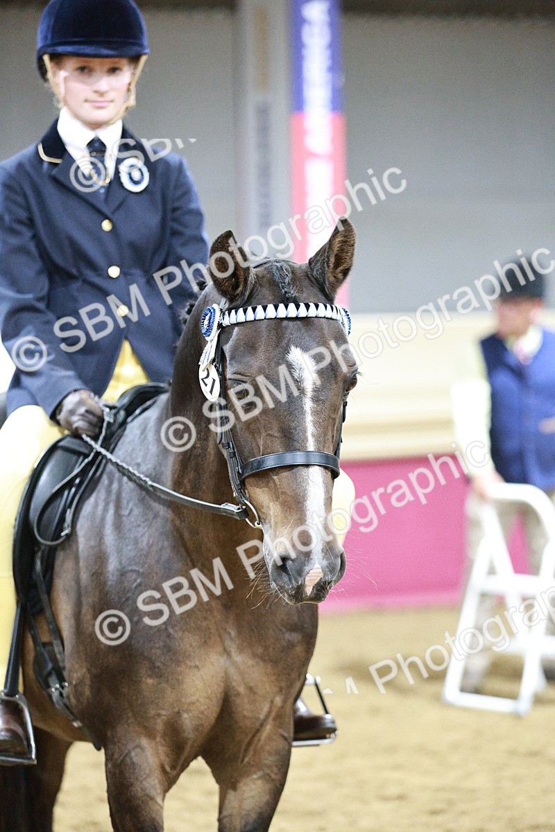 SBM_08080 - Class 11R - Regional Ridden Veteran