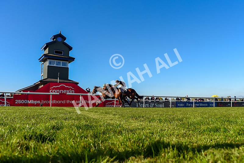 230426-Race 8-Barbury Boy-1353 - Race 8