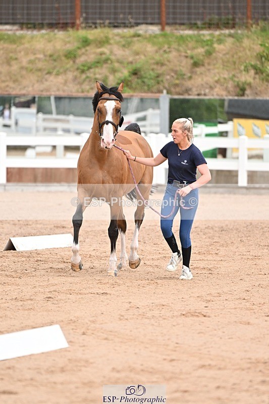 250716-151227-01762 - Trot Up 2.30 to 3.30