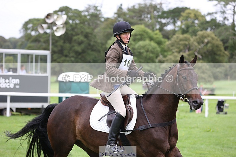 230805-114315-00981 - SJ 11 to 11.55