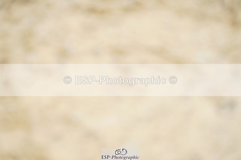 240309-143322-01223 - Cls 03 AE 90cm