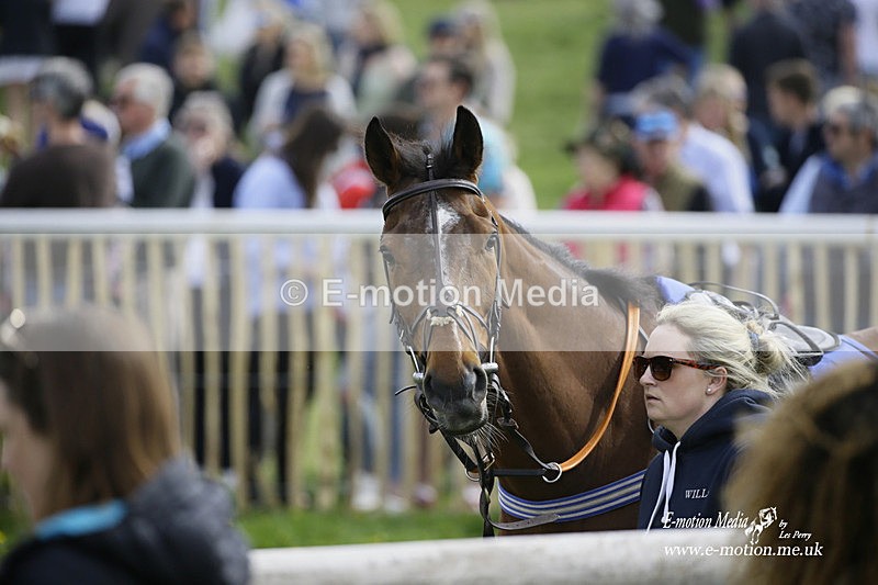 PtP 180422 40 - Old Berkshire PtP Lockinge 18/04/22