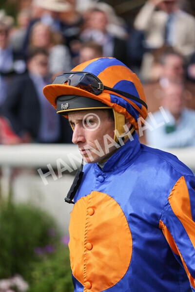 yr18082021r4-16 - Race 4 3.35pm Juddmonte International Stakes (British Champion Series race)