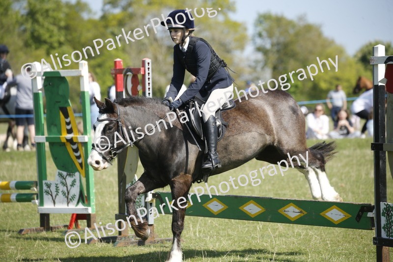 20250427-2041 - Class 13 - Novice Jumping 60cm