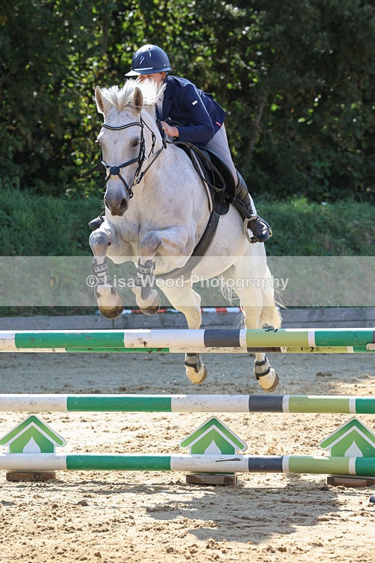 3E7A0980 - Class 4: Senior British Novice/90cm open