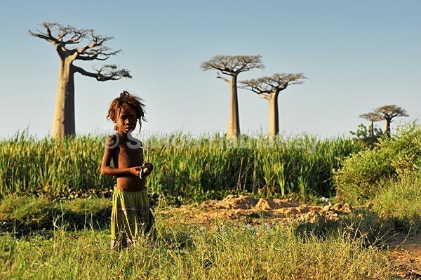  - Madagascar