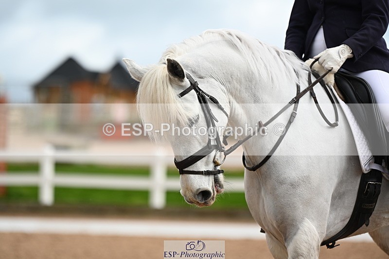 240323A-104454-01436 - DR Prelim 2