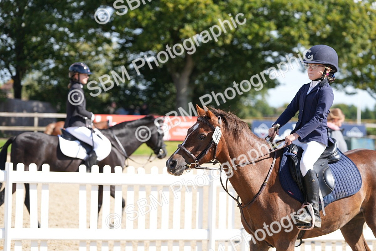SBM_44388 - J7 - Junior Pony 60cm Championship