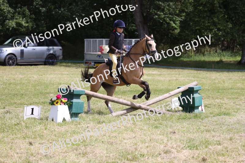 20260614-1884 - Class 21 - Novice Working Hunter Pony