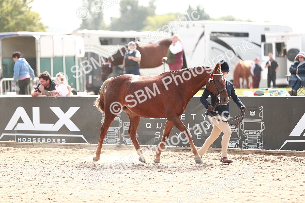 SBM_13853 - Class 209 IH Veteran Pony