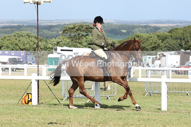 JPP_2898 - Class 20: Working Hunter 70cm