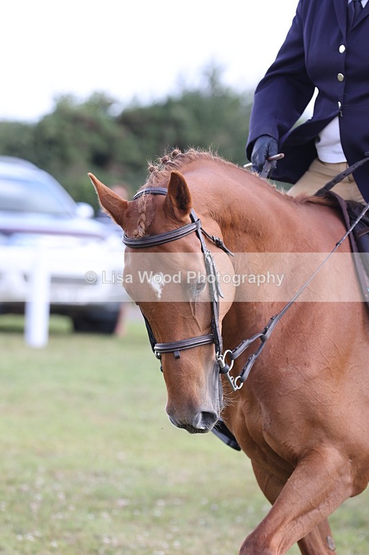 JPP_1221 - Class 17: Cornish Combination Open
